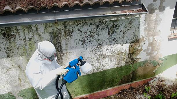 Trusted Mold Testing service in Fairview, NC - Cheap Mold Removal